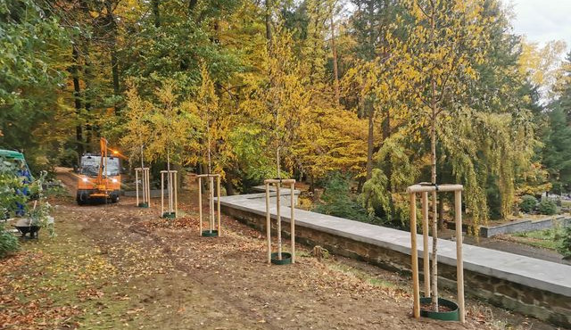 V Písku letos vysadili přibližně dvě stovky stromů