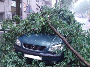 Meteorologové varují před vichřicí v Praze. Silný vítr může převracet auta