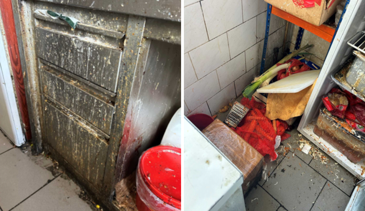 Potraviny na podlaze, navrstvená špína i plíseň. Hygienici rozdali v pražských restauracích pokuty za sto šedesát tisíc