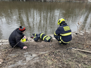 VIDEO: Pes vběhl do nory za nutrií, ven mu pomohli až hasiči