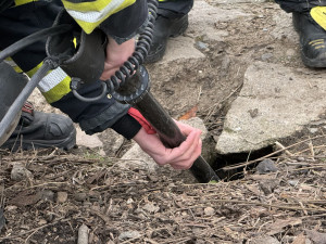 VIDEO: Pes vběhl do nory za nutrií, ven mu pomohli až hasiči