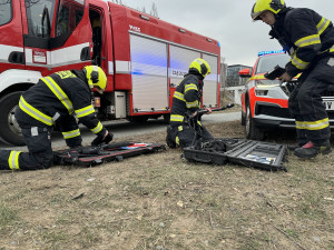 VIDEO: Pes vběhl do nory za nutrií, ven mu pomohli až hasiči