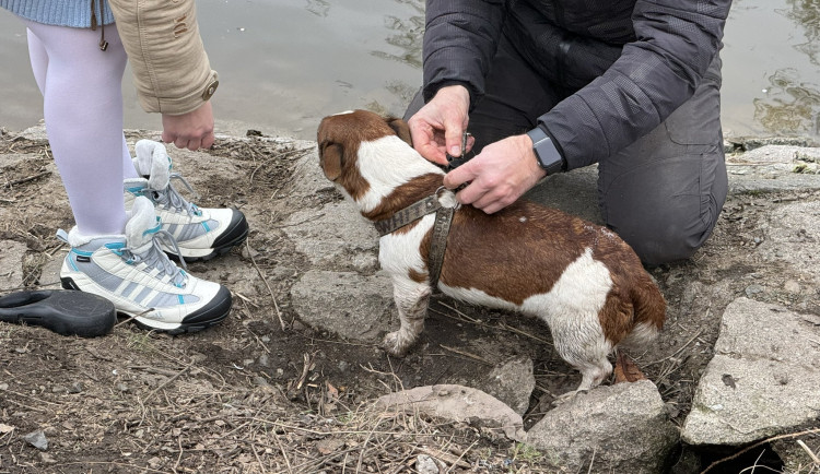 Psa se podařilo zachránit.
