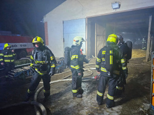 VIDEO: Při požáru haly plné kachňat zahynulo přes osm tisíc zvířat