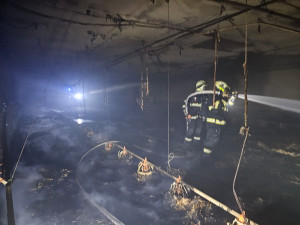 VIDEO: Při požáru haly plné kachňat zahynulo přes osm tisíc zvířat