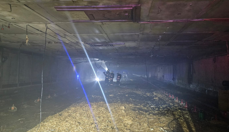 VIDEO: Při požáru haly plné kachňat zahynulo přes osm tisíc zvířat