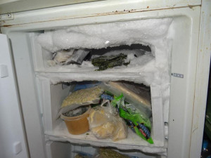 Mrtvý hmyz a všudypřítomná špína. Inspektoři po kontrole zavřeli asijskou restauraci