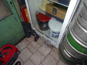 Mrtvý hmyz a všudypřítomná špína. Inspektoři po kontrole zavřeli asijskou restauraci