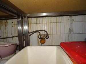 Mrtvý hmyz a všudypřítomná špína. Inspektoři po kontrole zavřeli asijskou restauraci