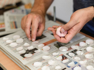 Veronika s Petrem vyrábí úchvatné obrazy z lisovaných květin. Na výlety chodíme s batohy plných knih, říkají