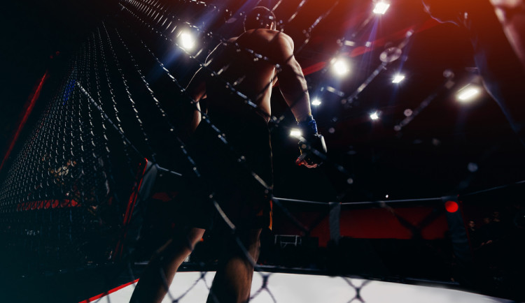 Copyright (c) 2017 Parilov/Shutterstock.  No use without permission.