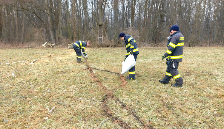 Zloděj zamořil louku v Litovelském Pomoraví motorovým olejem. Přijel sem krást dřevo