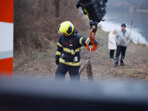 VIDEO: Řidiči sjelo auto do Vltavy, vytáhnout ho museli hasiči