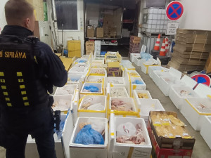 VIDEO: Muž tvrdil, že v autě veze ovoce a zeleninu. Byly v něm dvě tuny masa pochybného původu