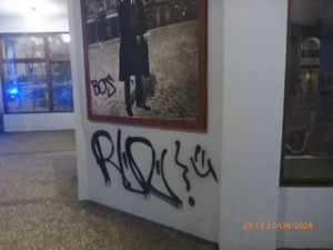 Vandala přistihly při činu hned dvě policejní hlídky najednou