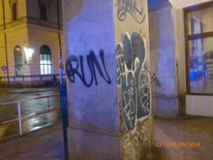 Vandala přistihly při činu hned dvě policejní hlídky najednou