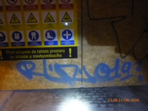 Vandala přistihly při činu hned dvě policejní hlídky najednou