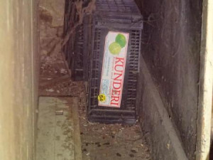 Myší bobky, pavučiny a prach. Večerku na Žižkově inspektoři zavřeli