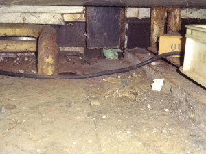 Myší bobky, pavučiny a prach. Večerku na Žižkově inspektoři zavřeli