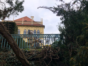 Vyhlídka Alexeje Navalného. Praha 7 chce oficiálně pojmenovat místo ve Stromovce