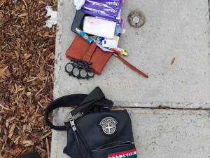 Trojice okradla v parku muže. Útočníci měli v kapsách boxera a čokolády