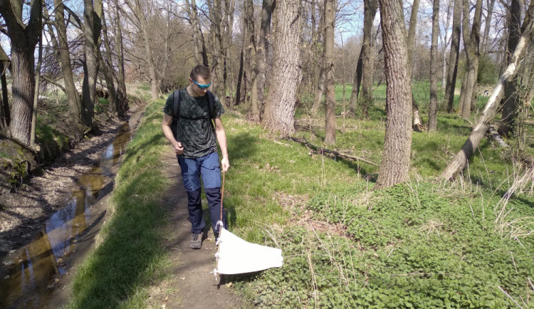 Sběr klíšťat v lesoparku Stromovka v Český Budějovicích (na snímku parazitolog Jan Kamiš).