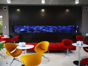 Protonové centrum pacientům pomáhá i s nádory krčních mandlí