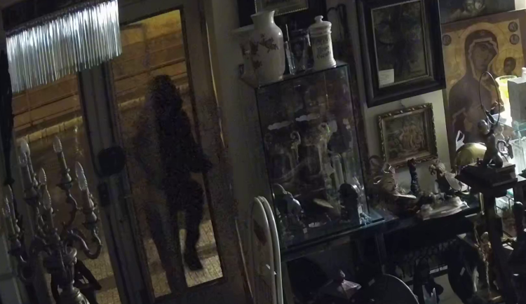 Cestu skleněnými dveřmi si prorazil kamenem.