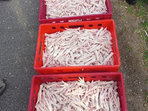 Kohouti s hlavou, kuřecí pařáty, přepravka plná žloutků. V Sapě našli víc než tunu pochybných potravin