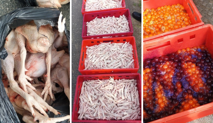 Přepravce nebyl schopen dodat správné dokumenty k potravinám.