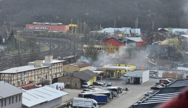 Hasiči v Nuslích zachránili z hořící budovy kočku