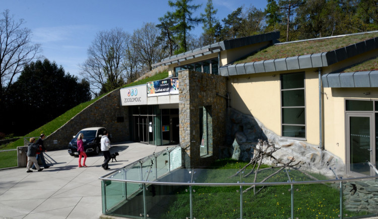 Zpověď tichých hrdinů. Olomoucká zoo připravila unikátní výstavu