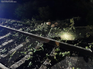 Mezi Prahou a Benešovem nejedou vlaky, jeden narazil do spadlého stromu