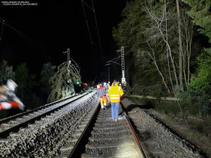 Mezi Prahou a Benešovem nejedou vlaky, jeden narazil do spadlého stromu