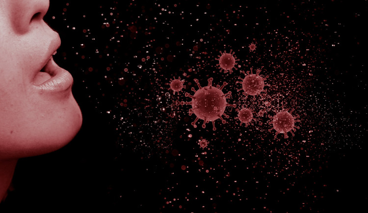 Počty případů černého kašle stagnují. Zájem je o očkování, čeká se na vakcíny