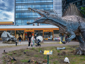 DinoPark v Praze na Harfě nabízí mnohem víc než jen modely dinosaurů