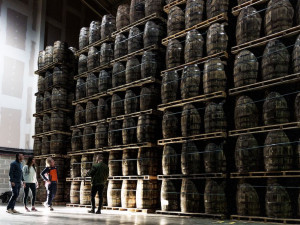 Irsko. Co všechno přinesla tato malá země světu?