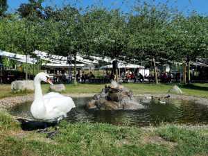 Žluté lázně vás vtáhnou do sportovní atmosféry. Letos nechybí hokej, fotbal ani olympiáda