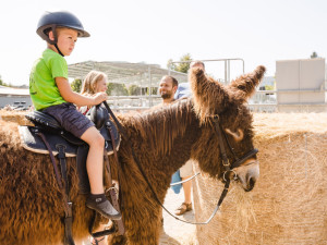 Země živitelka, zábava pro všechny generace