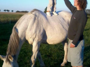 Policisté pořádají sbírku pro kamaráda. Po skoku do bazénu bojuje o život