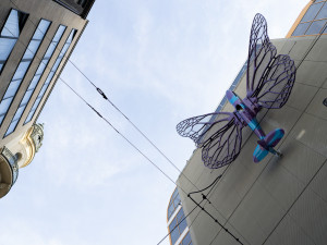 FOTOGALERIE: Obchodní dům Máj už zdobí oba Černého motýli. Povolení dostali na rok