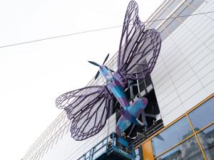 FOTOGALERIE: Obchodní dům Máj už zdobí oba Černého motýli. Povolení dostali na rok