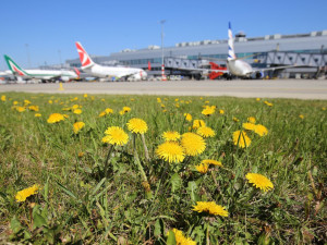 Letiště Praha spustilo druhý ročník programu Biodiverzita. Cílem je podpořit druhovou rozmanitost v okolí letiště