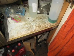 Špína od podlahy až po strop. Sport bar v Praze inspektoři okamžitě zavřeli