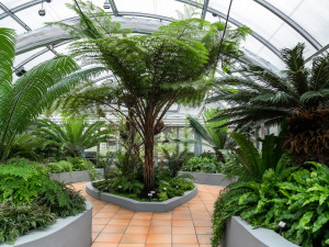 Robot na poli, rezervace pro kopytníky. Soutěž E.ON Energy Globe o nejlepší ekologické projekt má šest finalistů