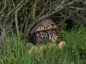 Robot na poli, rezervace pro kopytníky. Soutěž E.ON Energy Globe o nejlepší ekologické projekt má šest finalistů