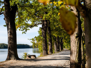 O moderní bydlení ve Čtyřech Dvorech je velký zájem, polovina z více než 200 bytů je již prodaná