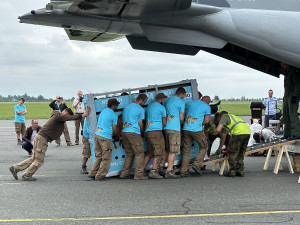 Koně Převalského v pořádku dorazili do Kazachstánu, další odletí ve středu