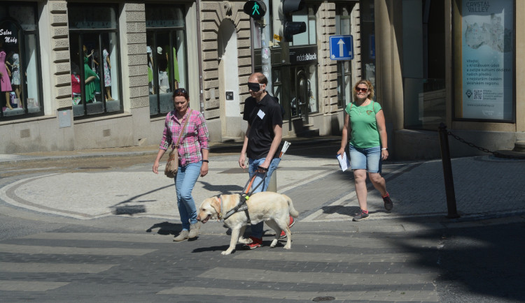 Mistrovství ČR vodicích psů nabídne napínavou soutěž i zábavu