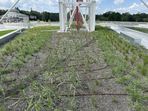 Terasy Křižíkových pavilonů prošly rekonstrukcí. Nápad na kluziště nevyšel